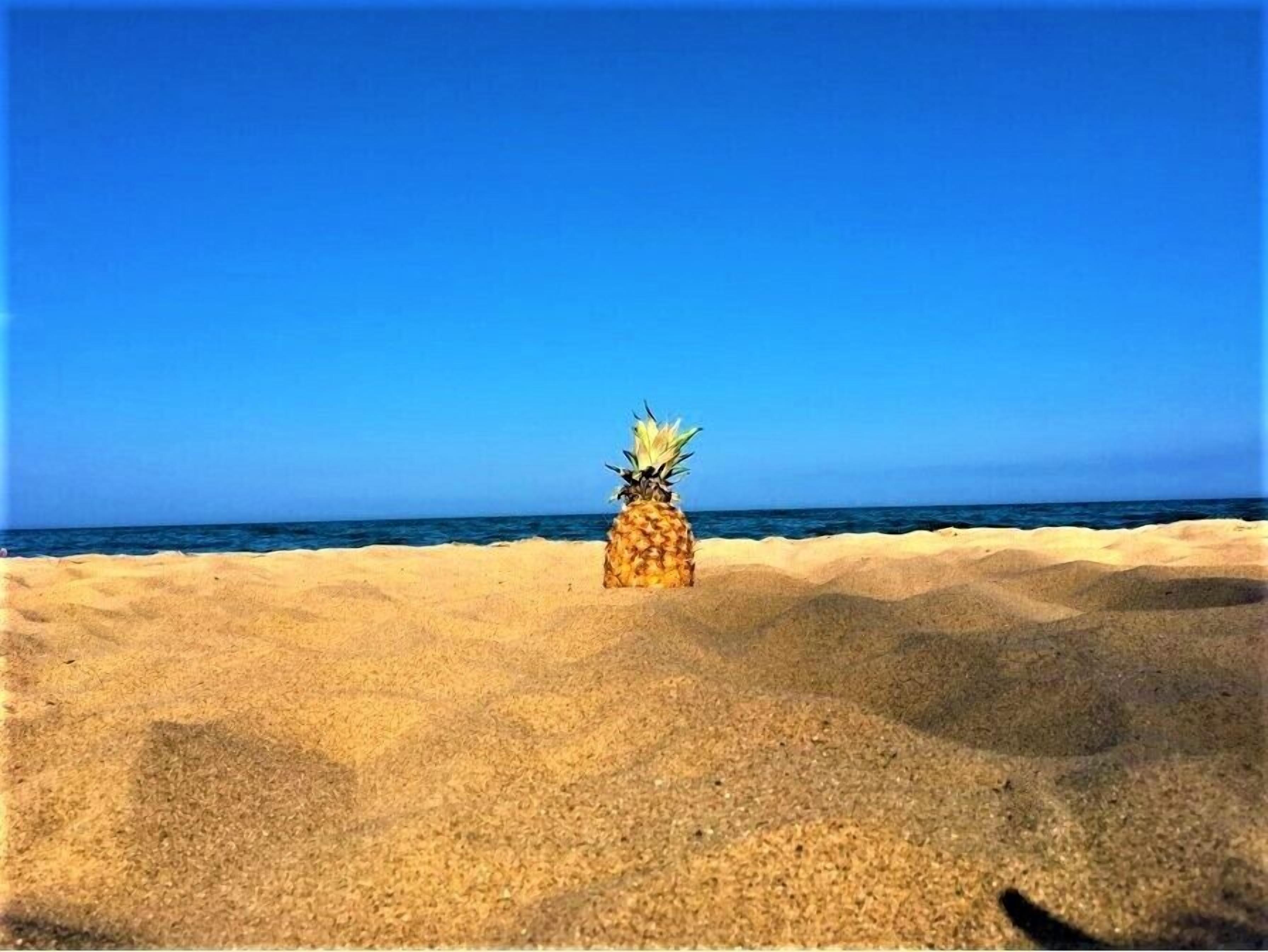 海滩
