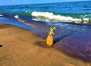 En la playa