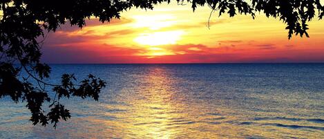 A sunset over a calm sea with silhouettes of trees framing the view.