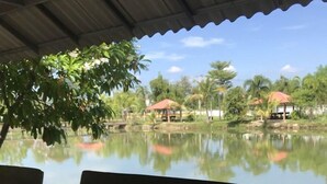 Un espace extérieur aménagé, abrité et doté de bancs, qui offre une vue sur une étendue d’eau paisible, le tout entouré de verdure et de petites constructions.