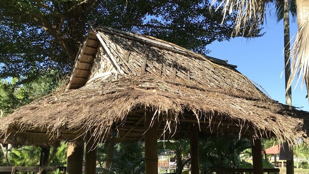 Un pavillon au toit de chaume, doté d’une terrasse en bois, entouré d’une végétation luxuriante et de palmiers.