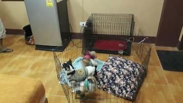 Pet-friendly