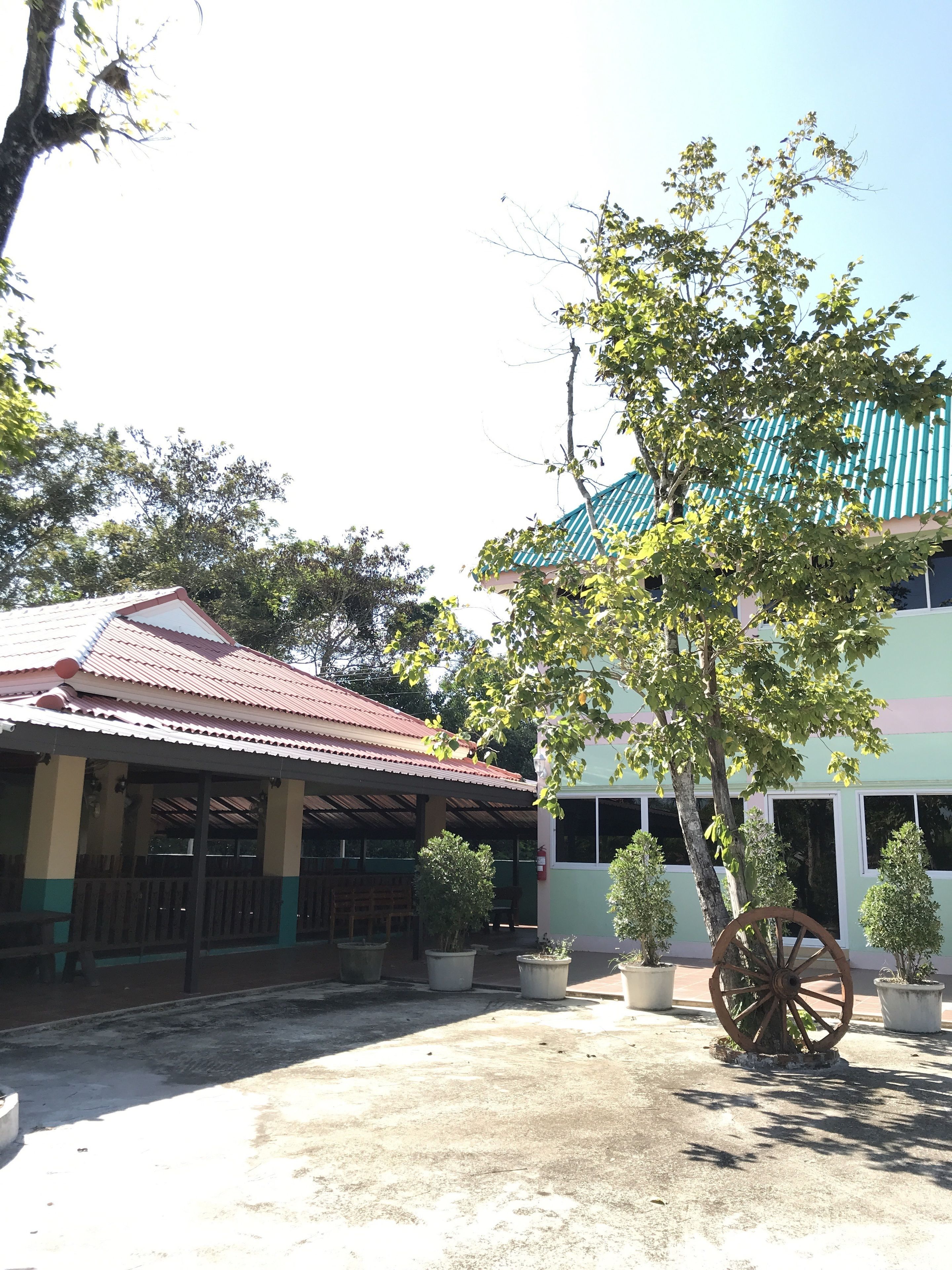 Mittagessen und Abendessen, thailändische Küche