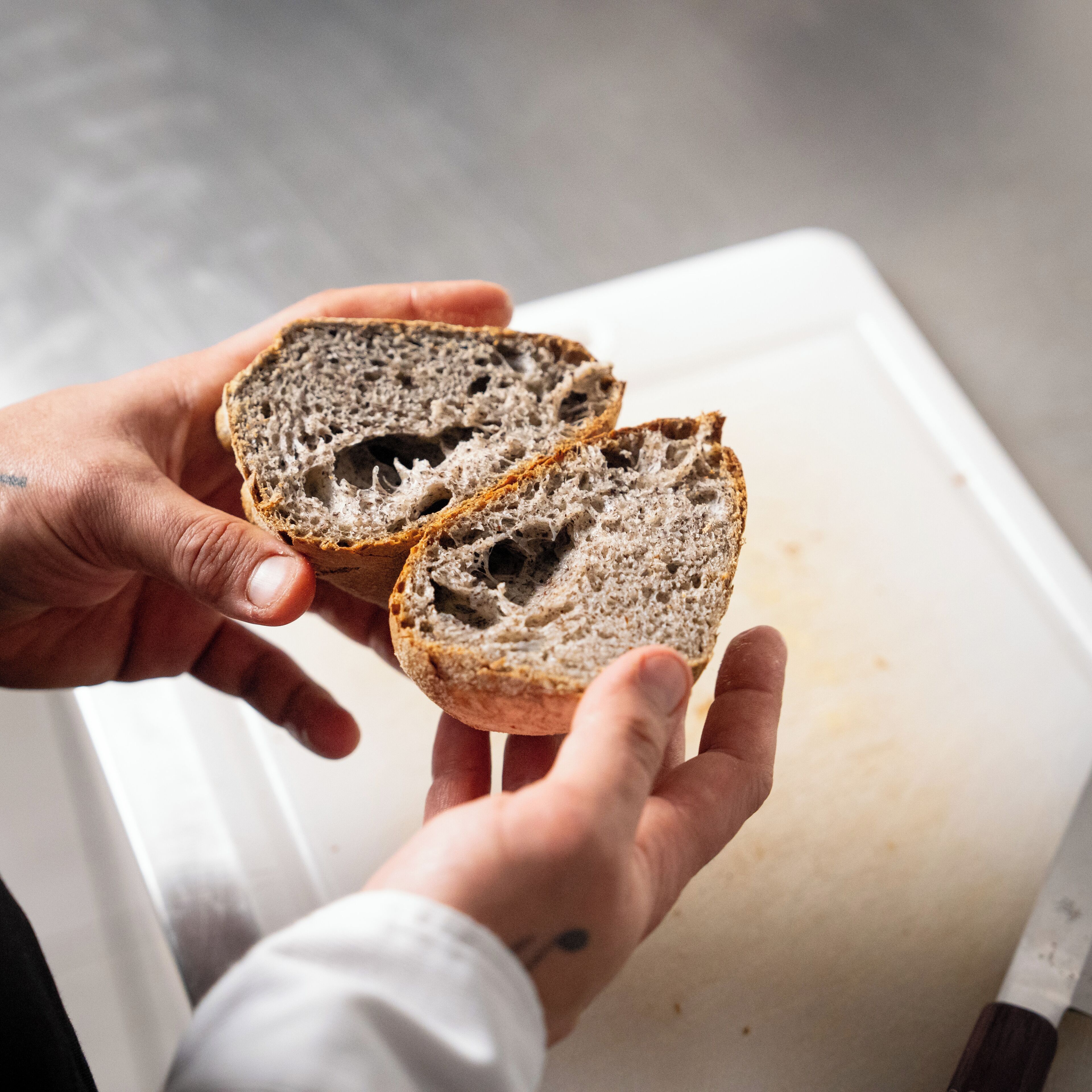 lunch and dinner served, italian cuisine