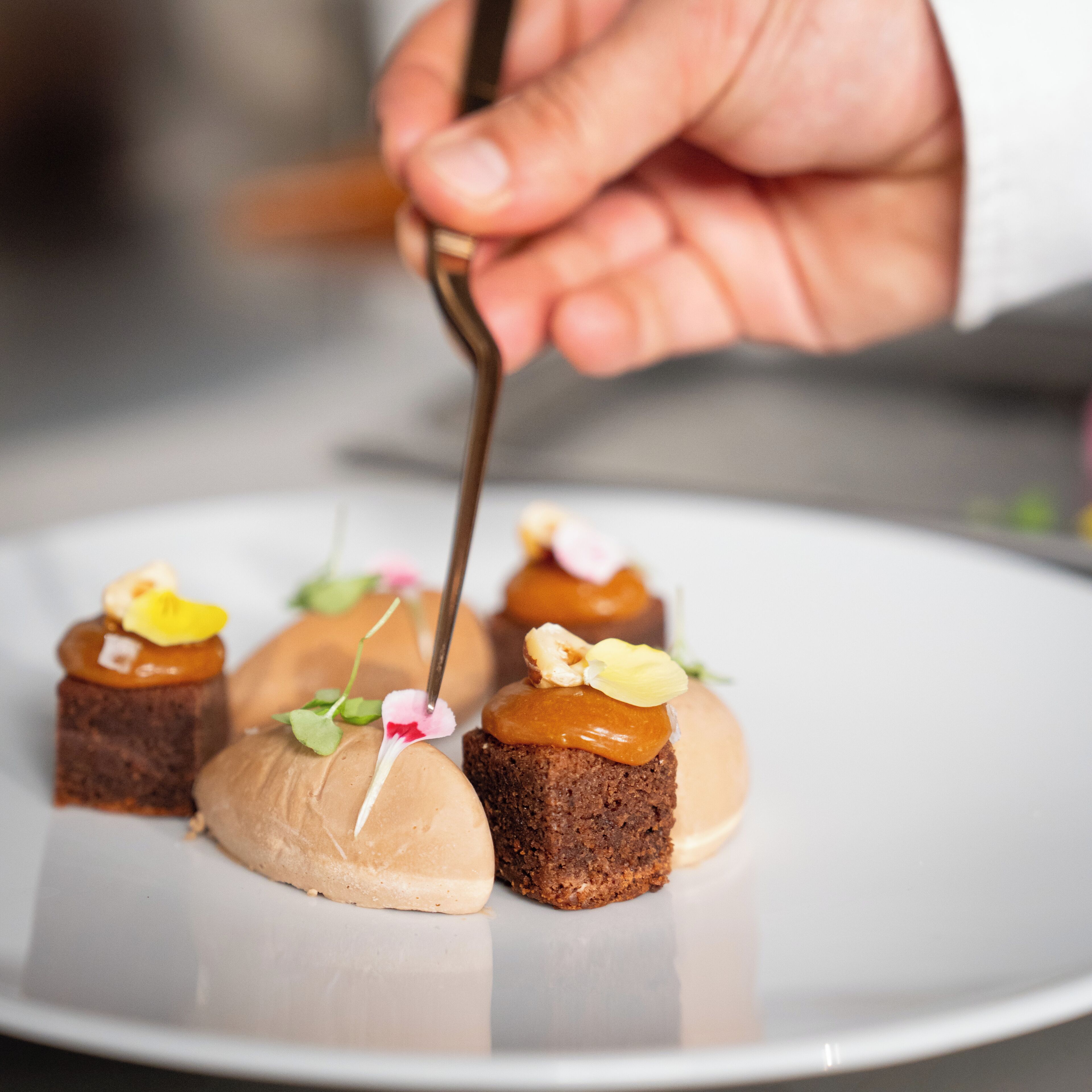 lunch and dinner served, italian cuisine