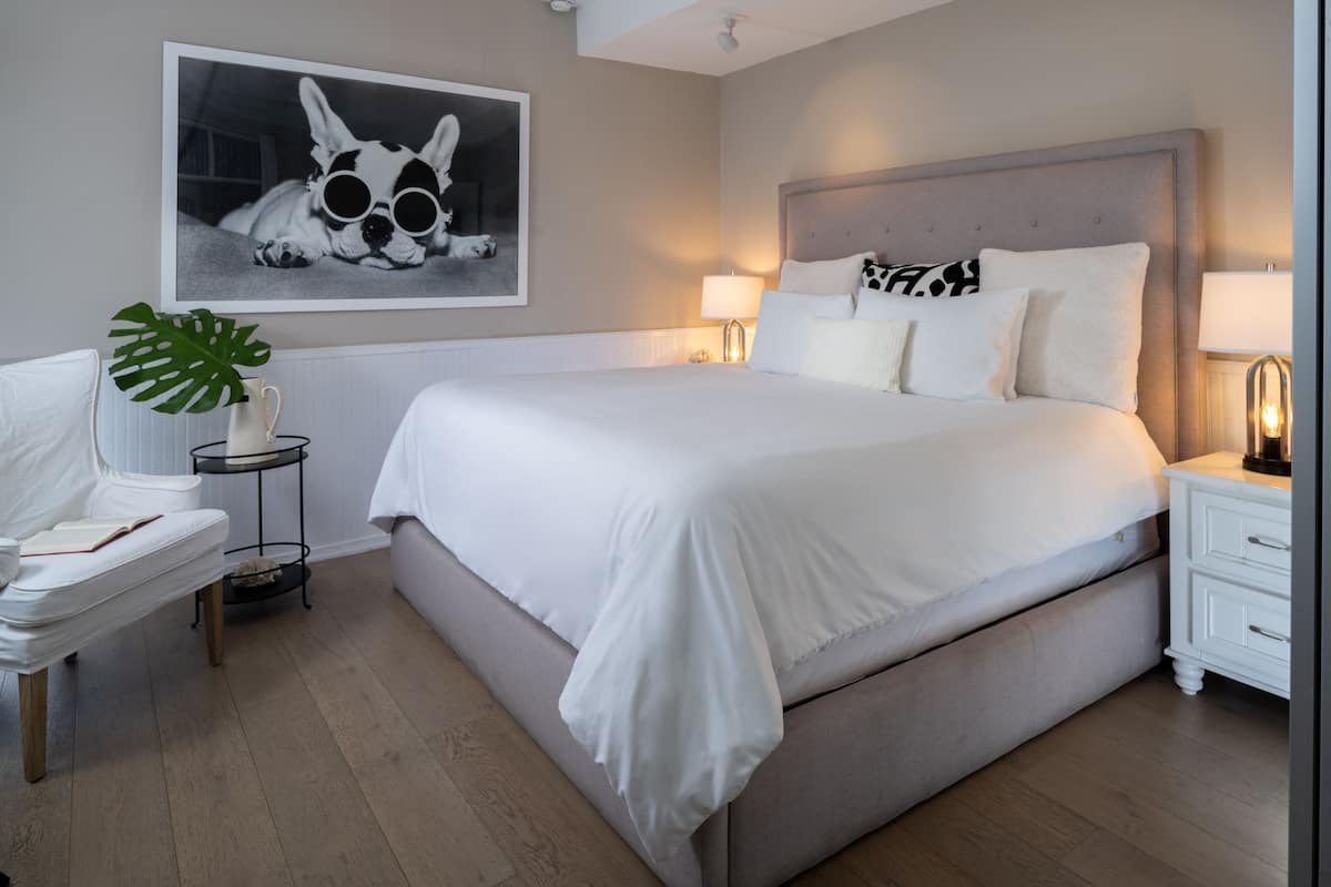 A modern hotel room with a large bed, a bedside table with a lamp, a chair, and a wall-mounted picture of a dog.