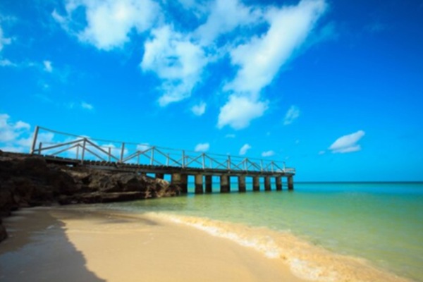Dock