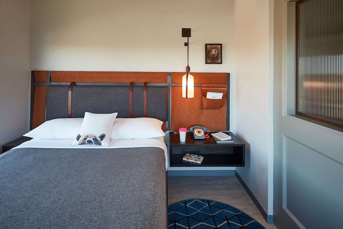 Une chambre d’hôtel avec un lit, une table de chevet, une lampe, un oreiller, un chien, un cadre photo et une fenêtre avec des stores.