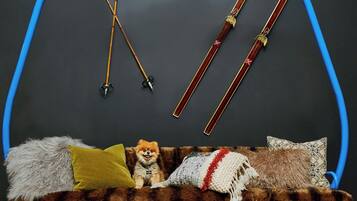 Une pièce chaleureuse avec un canapé recouvert de fourrure, un petit chien, et des skis et des bâtons de ski accrochés au mur.