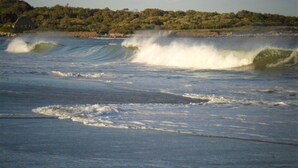 A coastal scene with waves crashing onto the shore, a clear sky, and a distant tree-covered landform.