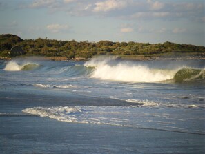 Nær stranden, solsenger og parasoller