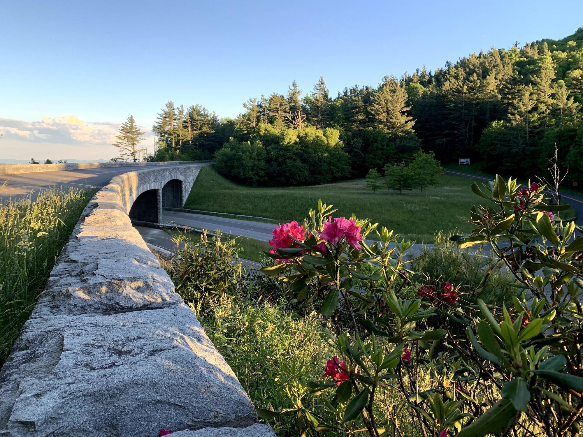A stone bridge over a road, surrounded by greenery and flowers.