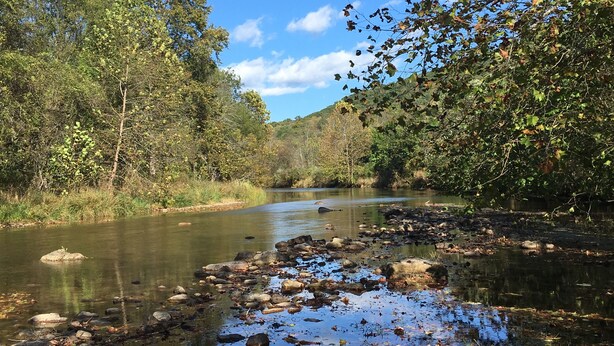 A river with clear water, surrounded by trees and rocks. - The Tannery!  Private Dipping Pool In The Warm Springs Stream!  Pet Friendly!  (Warm Springs)
