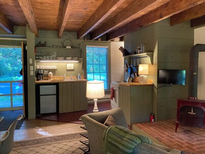 The Tannery! Private Dipping Pool In The Warm Springs Stream! Pet Friendly!