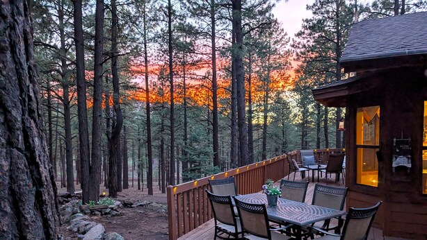 A wooden deck with a table and chairs, surrounded by a forest.
