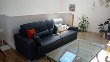 Televisie, een tafeltennistafel, boeken en een filmbibliotheek