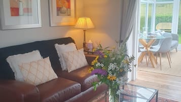 Smart TV, fireplace, DVD player, books