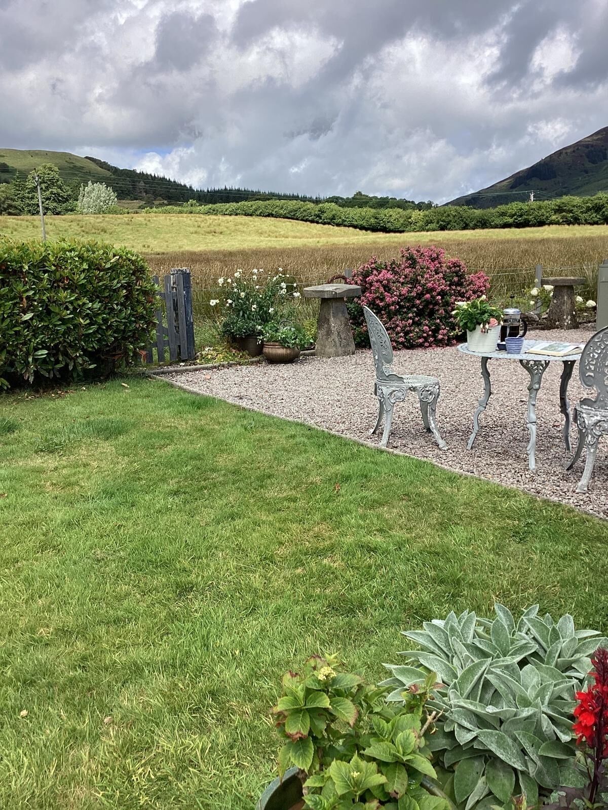 A garden patio with a table and chairs, surrounded by a gravel path and various plants.