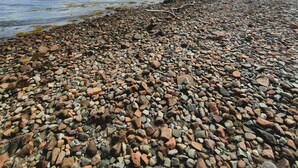 Unclassified image, 5 of 33, button - A Little Gem in The West Highlands, Argyll Inveraray Loch Fyne views, sleeps 4 (Inveraray)
