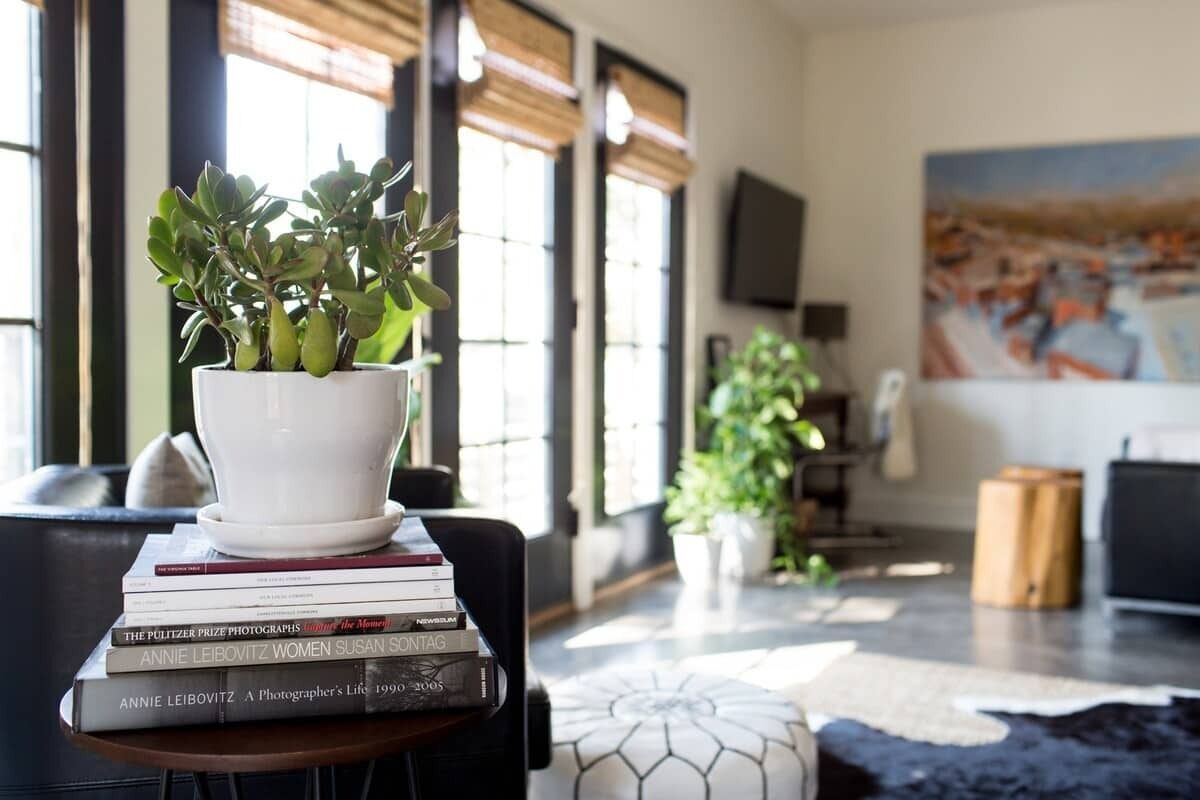 Un salon avec une plante en pot, une pile de livres et un tableau accroché au mur.