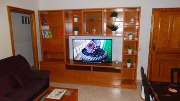 Smart TV, books, video library