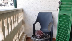 A balcony with a potted plant, a chair, and a green door.