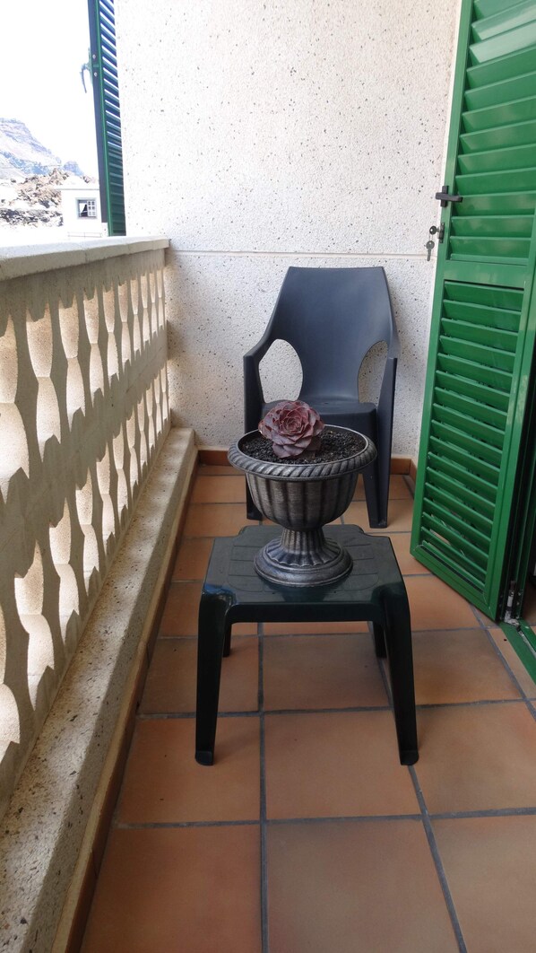 A balcony with a potted plant, a chair, and a green door.