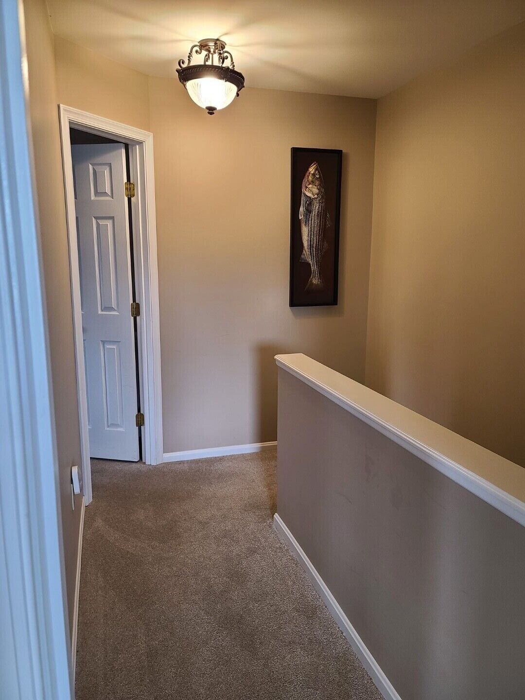 A hallway with beige walls, a white door, a light fixture, and a framed picture on the wall.