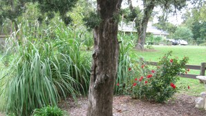 A tree with a thick trunk surrounded by green foliage and red flowers. - Quiet, Private, 2 acres to enjoy and still close to everywhere you want to go. (Elkins)