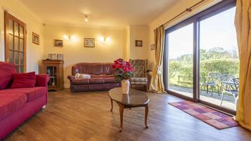 TV connectée, cheminée, lecteur de DVD, table de tennis de table