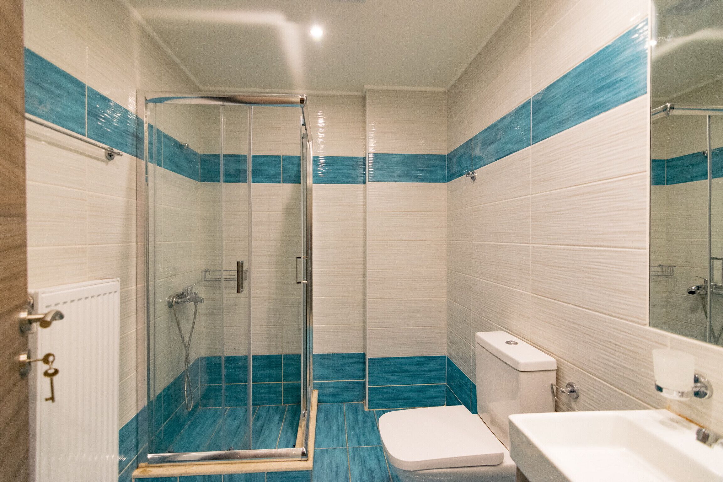 Ein Badezimmer mit Duschkabine aus Glas, einer weißen Toilette und einem Waschbecken.
