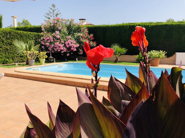 Piscine extérieure