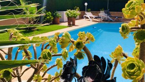 Piscina rodeada de follaje y sillas de descanso.