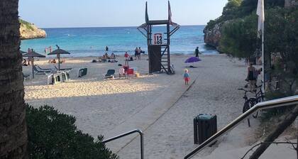 Top maintained and fully equipped holiday home with pool near the beach