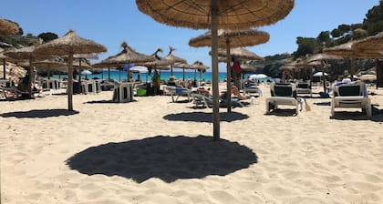 Top maintained and fully equipped holiday home with pool near the beach