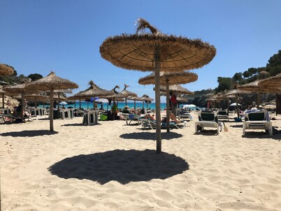 Top maintained and fully equipped holiday home with pool near the beach