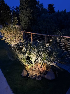 A well-lit garden area with palm plants, rocks, and a wooden fence.