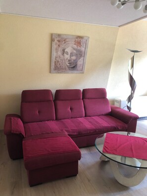 TV, DVD player, stereo - House Dachsberg 331, Todtmoos (Todtmoos)
