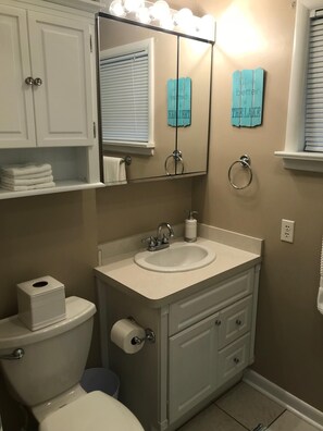 Combined shower/tub, hair dryer, towels, soap - Quiet, Charming Lake Front Home with Kayaks,  2 Guest Maximum (Hot Springs)