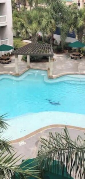 Piscine extérieure, piscine chauffée