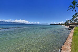 A clear view of a beach with a stone walkway and palm trees. - GREAT LOCATION, POPULAR RESORT, UPGRADED OCEANVIEW CONDO! (LAHAINA)