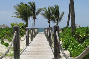 A wooden boardwalk leading to the beach, flanked by palm trees and surrounded by greenery.