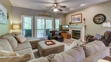 Televisión, chimenea, reproductor de DVD y libros