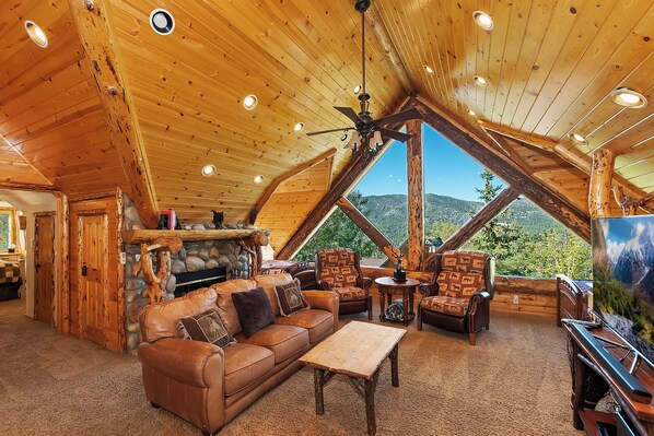 Smart TV, fireplace, video games, DVD player