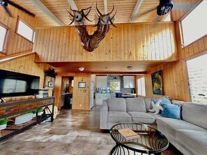 智能电视、DVD 播放器、书、影片库