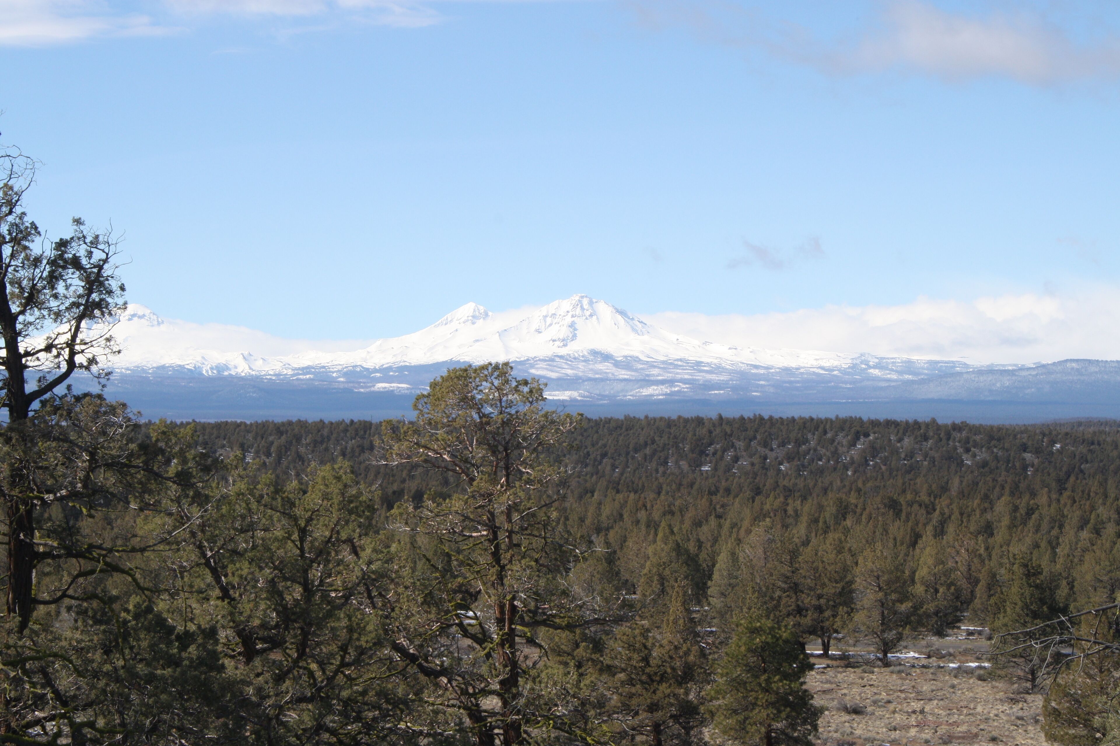 Una montaña con picos nevados, un valle boscoso y un cielo despejado.