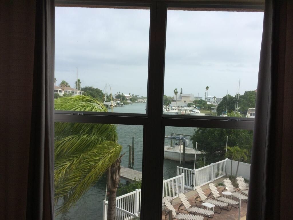 Une vue depuis une fenêtre donnant sur une marina, avec des bateaux, un quai et un palmier.