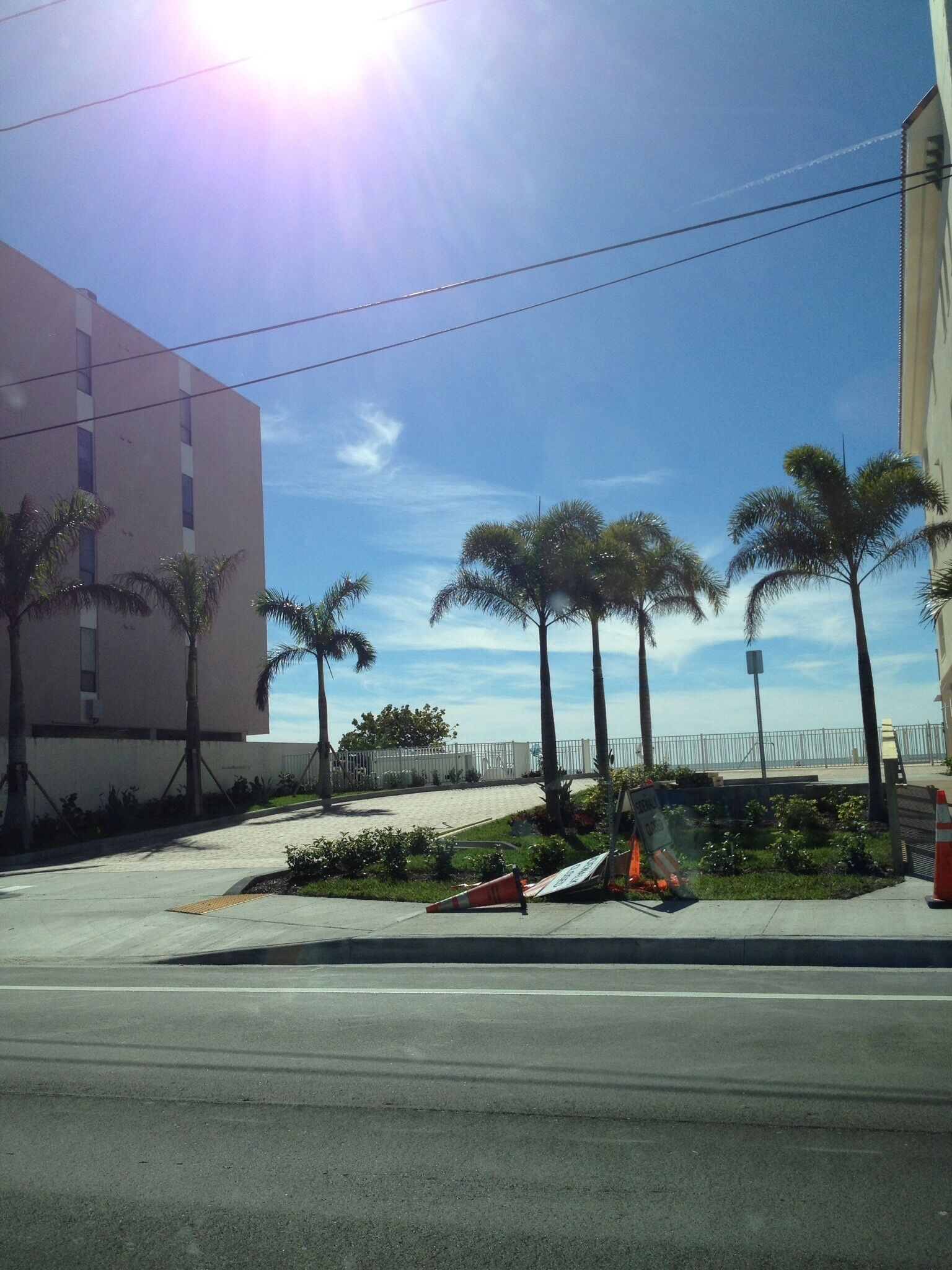 A street view with a modern building, palm trees, and a clear sky.