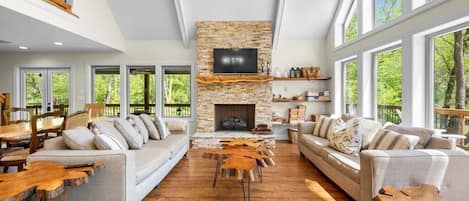 Smart TV, fireplace, books