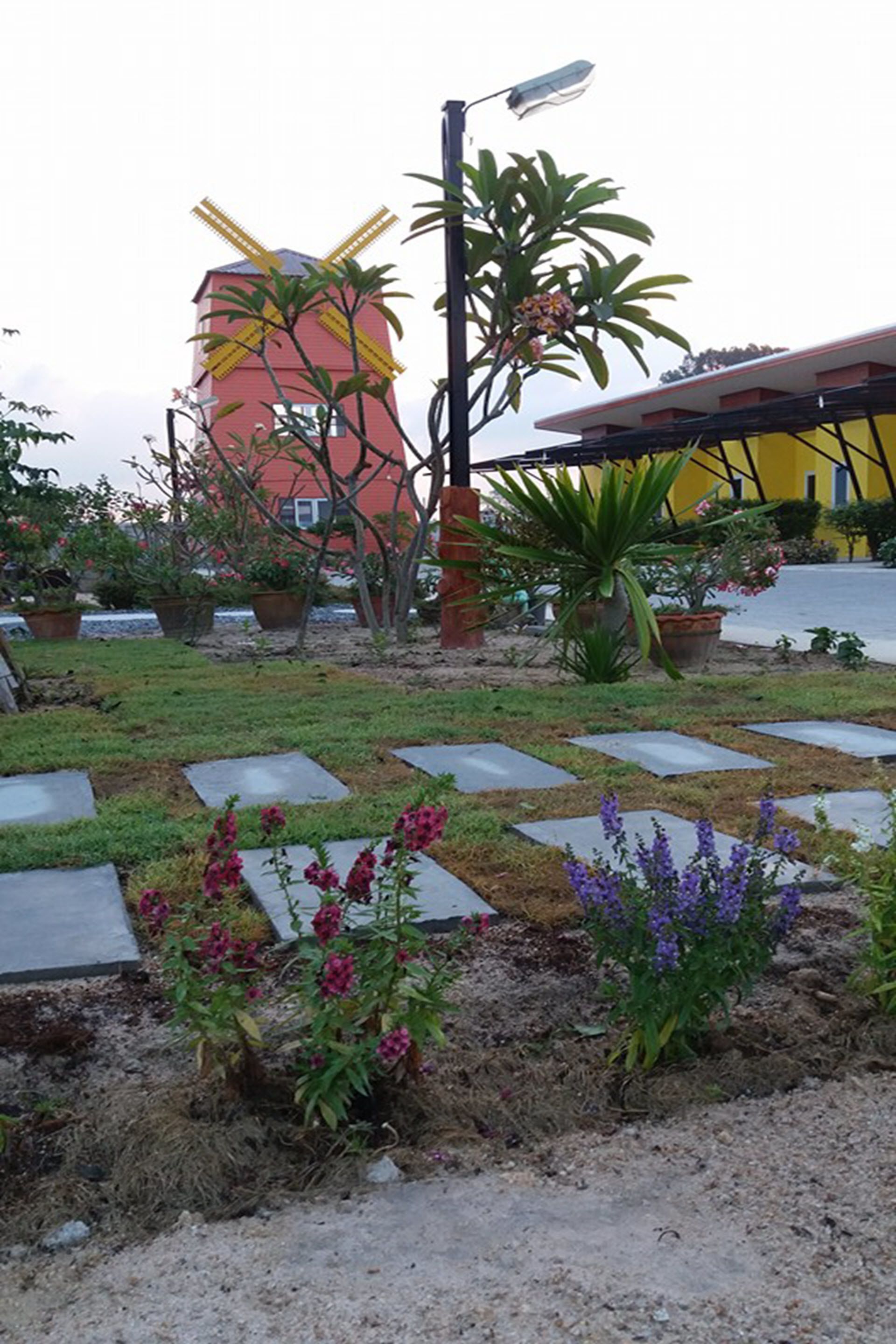 Garden